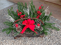 Fir Holiday Log